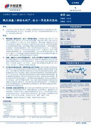 2020年一季报点评：鹤庆溢鑫二期通电投产，抢占一季度盈利高地