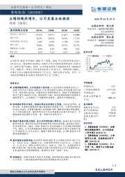 业绩持续高增长，公司发展全面提速