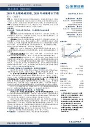 2019年业绩略超预期，2020年持续增长可期