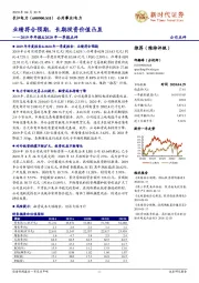 2019年年报&2020年一季报点评:业绩符合预期,长期投资价值凸显