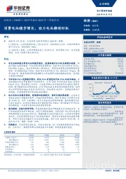 2019年报及2020年一季报点评：消费电池稳步增长，动力电池静待时机