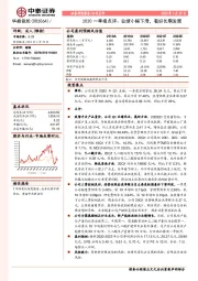 2020一季报点评：业绩小幅下滑，看好长期发展