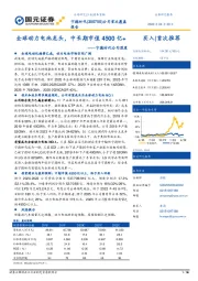 宁德时代公司深度：全球动力电池龙头，中长期市值4500亿+