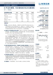 20年成长继续,充分展现细分龙头发展韧性