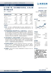 Q1业绩下滑,尚处规模扩张阶段,未来业绩增长确定性强