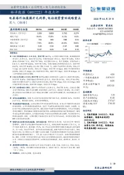 年报点评：电表海外拓展提升毛利率，电站投资重回战略重点