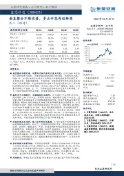 垂直整合不断完善，多点开花再创新高