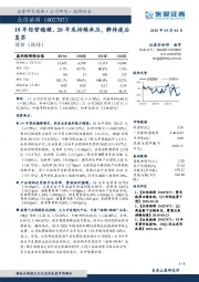 19年经营稳健、20年或持续承压，静待疫后复苏