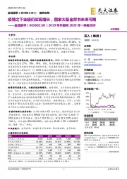 2019年年报和2020年一季报点评:疫情之下业绩仍实现增长,国家大基金背书未来可期