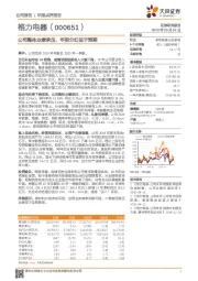 公司整体业绩承压，年报分红低于预期