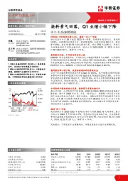 染料景气回落，Q1业绩小幅下降