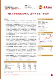 Q1业绩稳健快速增长,盈利水平进一步提升