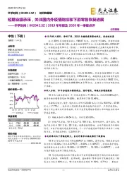 2019年年报及2020年一季报点评：短期业绩承压，关注国内外疫情防控和下游零售恢复进展