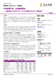 2019年年报及2020年一季报点评:产品价格下滑,企业盈利恶化
