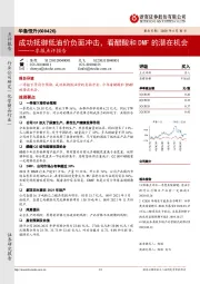 一季报点评报告：成功抵御低油价负面冲击，看醋酸和DMF的潜在机会