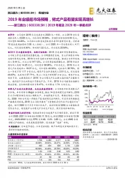 2019年报及2020年一季报点评:2019年业绩超市场预期,臂式产品有望实现高增长
