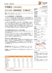 2020Q1点评：业绩超预期增长，甲乙酮是主因