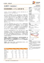 新冠疫情病毒影响，20年Q1业绩大幅下滑