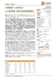 20Q1增长显韧性，疫情下抓住机遇份额有望提升