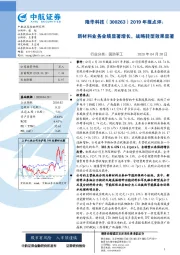 2019年报点评:新材料业务业绩显著增长,战略转型效果显著