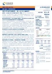 国内市场开拓顺利，收入占比大幅提升