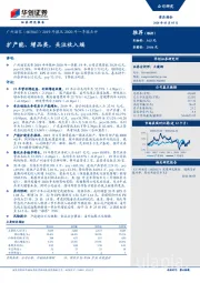 2019年报及2020年一季报点评：扩产能、增品类，关注收入端