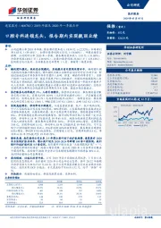 2019年报及2020年一季报点评：口腔专科连锁龙头，报告期内实现靓丽业绩