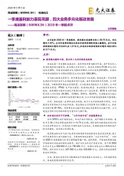 2020年一季报点评：一季度盈利能力表现亮眼，四大业务多元化驱动发展