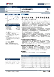 2020年一季报点评：净利同比大增，各项目如期推进