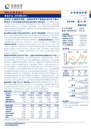 2020Q1业绩增长强劲，波格拉事件可能激发金矿扩产雄心