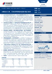 2019年报及2020年一季报点评：业绩拐点已现，负极材料持续放量盈利能力提升