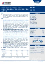 2019年报&2020年一季报点评：行业小年稳健增长，产品多元化布局逐步落地未来可期