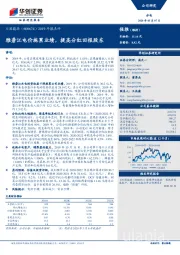 2019年报点评：雅砻江电价拖累业绩，提高分红回报股东