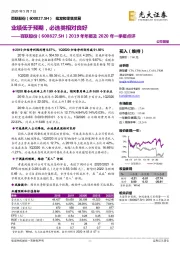 2019年年报及2020年一季报点评：业绩低于预期，必选类相对良好