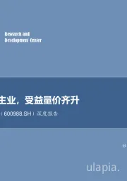 深度报告：聚焦黄金主业，受益量价齐升