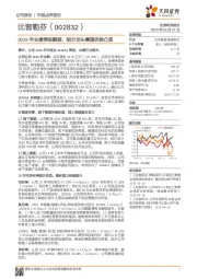 2019年业绩表现靓丽，细分龙头赛道优势凸显