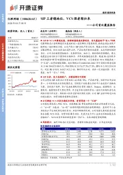 公司首次覆盖报告：SIP王者稳地位，VCS强者期归来