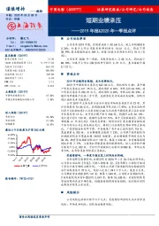 2019年报&2020年一季报点评：短期业绩承压