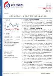 山东黄金深度点评：全资收购TMAC，稳固黄金龙头地位