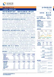 低价收购海外金矿，国际化进程再上新台阶