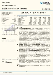 大象起舞，收入空间“五年四倍”