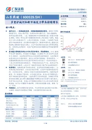 多重护城河和新市场发力带来持续增长