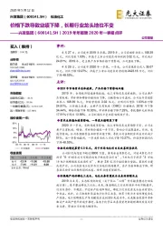 2019年年报暨2020年一季报点评：价格下跌导致业绩下降，长期行业龙头地位不变