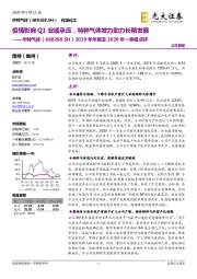 2019年年报及2020年一季报点评：疫情影响Q1业绩承压，特种气体发力助力长期发展