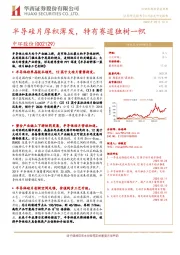 半导硅片厚积薄发，特有赛道独树一帜