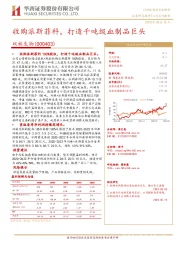 收购派斯菲科,打造千吨级血制品巨头