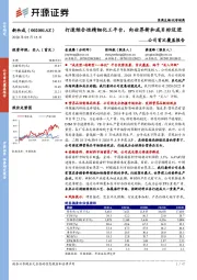 公司首次覆盖报告:打造综合性精细化工平台,向世界新和成目标迈进