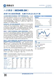 疫情不改长期消费趋势，电踏车电机龙头成长可期