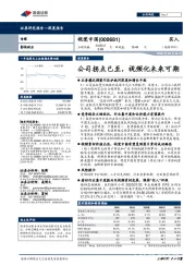 公司拐点已至,视频化未来可期