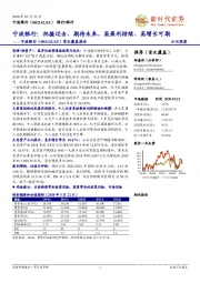 宁波银行:把握过去、期待未来,高盈利持续、高增长可期